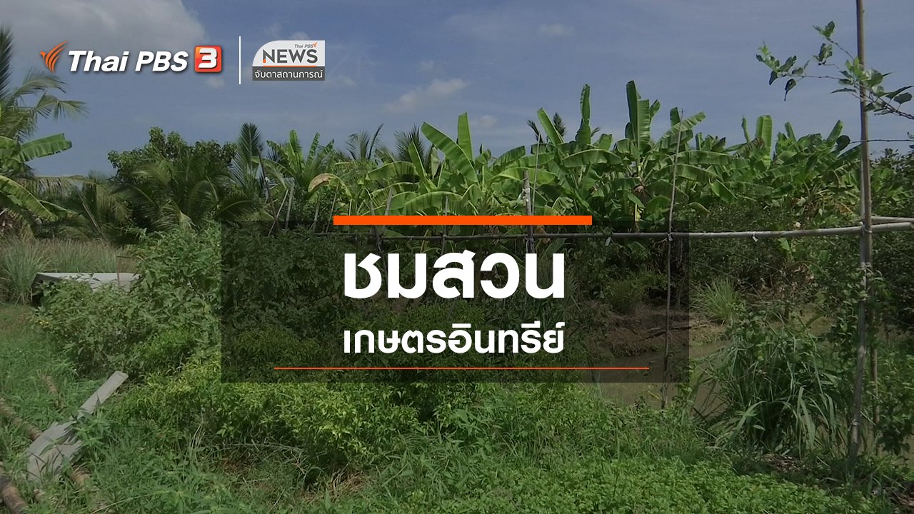 จับตาสถานการณ์ - ตะลุยทั่วไทย : ชมสวนเกษตรอินทรีย์