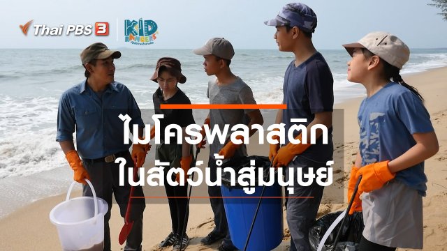 คิดส์เรียนรู้ : ไมโครพลาสติกในสัตว์น้ำสู่มนุษย์