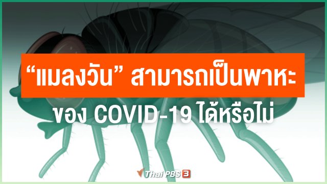 "แมลงวัน" สามารถเป็นพาหะของ COVID-19 ได้หรือไม่