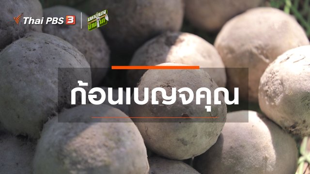 สูตรลับฉบับบ้านนา : ก้อนเบญจคุณ