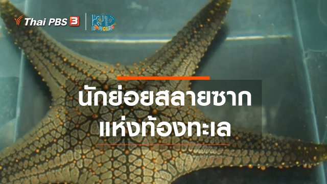 คิดส์เรียนรู้ : นักย่อยสลายซากแห่งท้องทะเล