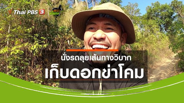 คลิปบ้านทุ่ง : นั่งรถลุยเส้นทางวิบากเก็บดอกข่าโคม