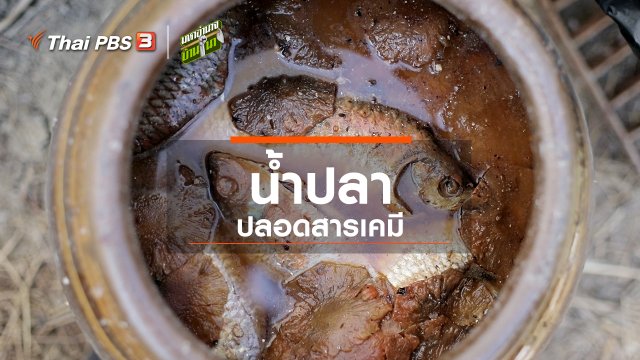 สูตรลับฉบับบ้านนา : น้ำปลาปลอดสารเคมี