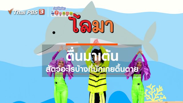 ตื่นมาเต้น : สัตว์อะไรบ้างที่มักเกยตื้นตาย