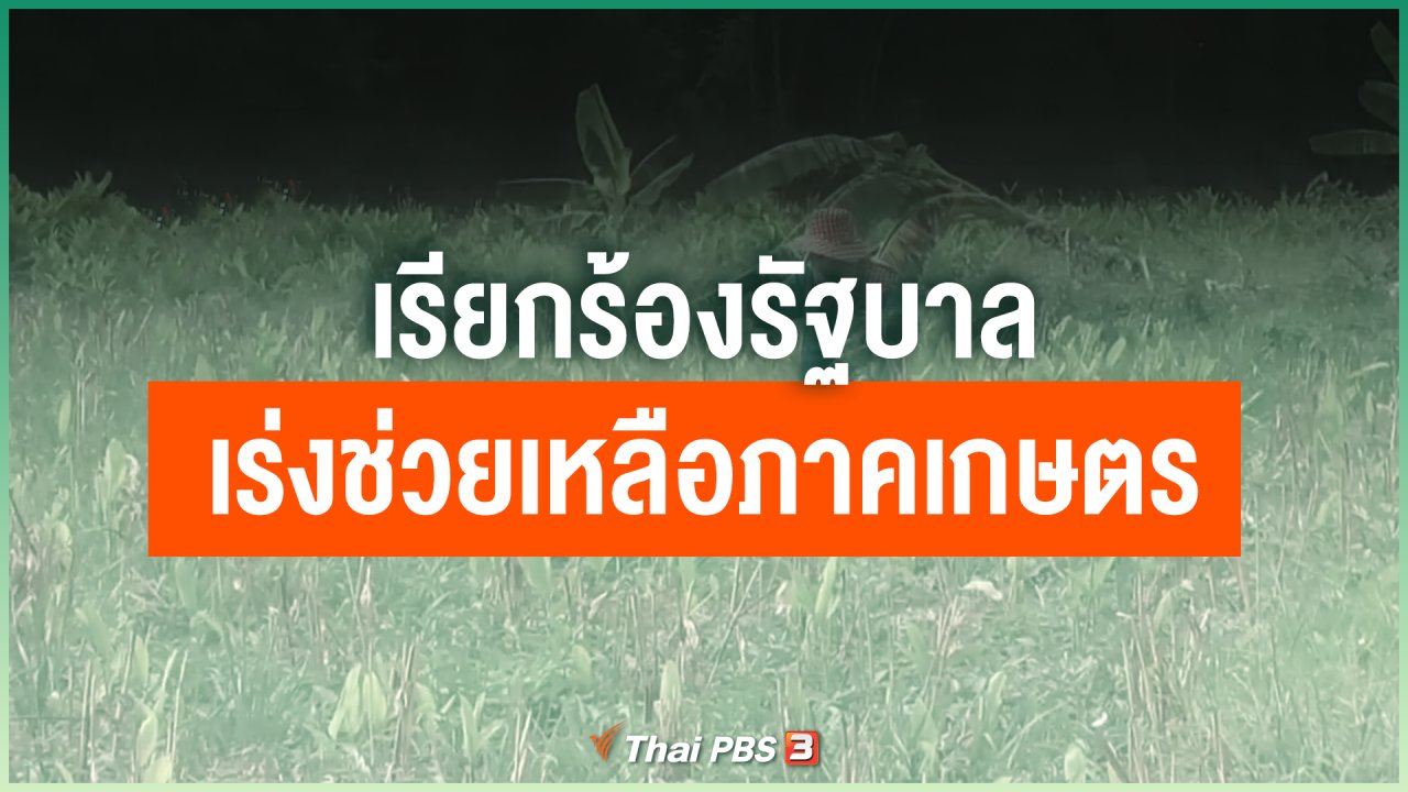 Coronavirus - เรียกร้องรัฐบาลเร่งช่วยเหลือภาคเกษตร