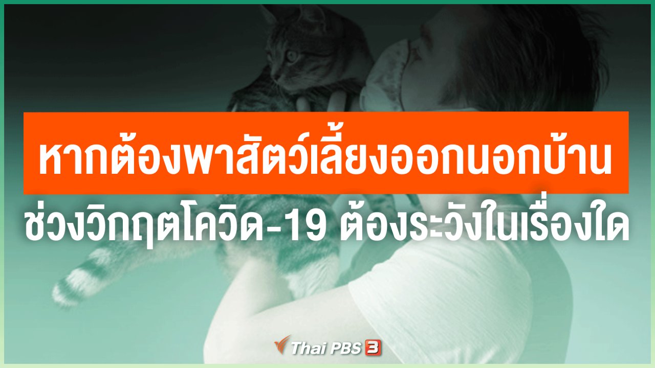 วันใหม่วาไรตี้ - หากต้องพาสัตว์เลี้ยงออกนอกบ้านช่วงวิกฤตโควิด-19 ต้องระวังในเรื่องใด