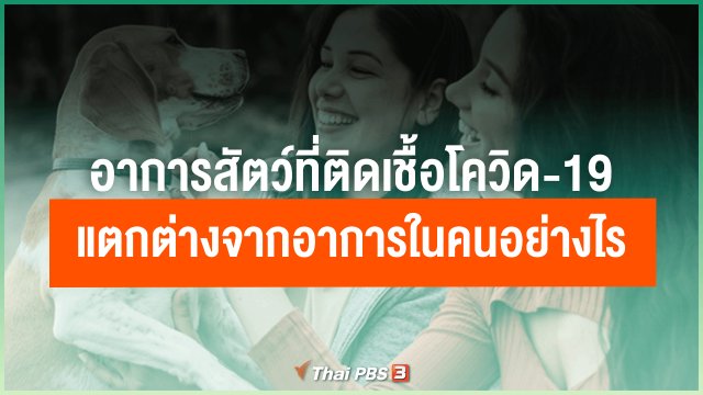 อาการสัตว์ที่ติดเชื้อโควิด-19 แตกต่างจากอาการในคนอย่างไร