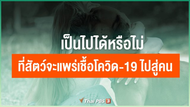 ​เป็นไปได้หรือไม่ ที่สัตว์จะแพร่เชื้อโควิด-19 ไปสู่คน