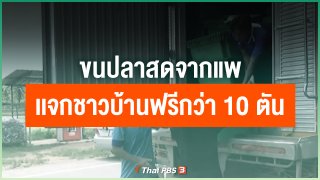 ขนปลาสดจากแพเเจกชาวบ้านฟรีกว่า 10 ตัน