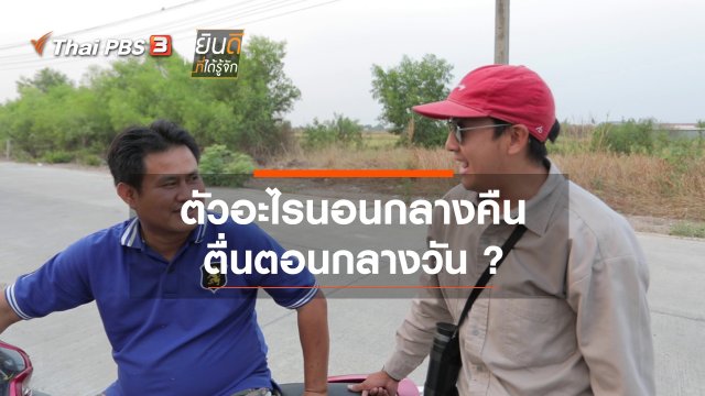 ตัวอะไรนอนกลางคืน ตื่นตอนกลางวัน ?