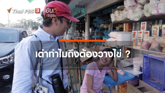 เต่าทำไมถึงต้องวางไข่ ?