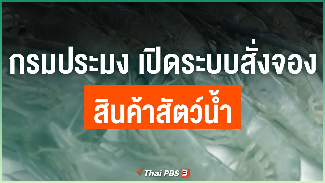 Coronavirus - กรมประมง เปิดระบบสั่งจองสินค้าสัตว์น้ำ