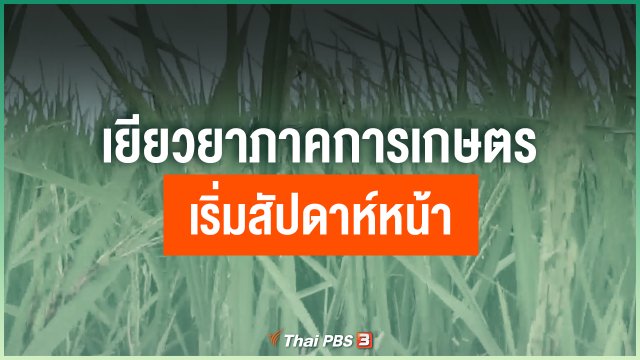 เยียวยาภาคการเกษตรเริ่มสัปดาห์หน้า