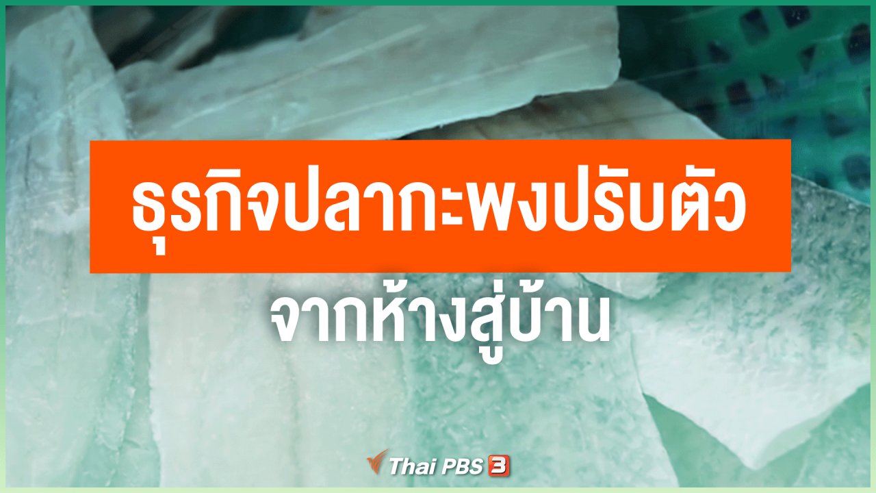 ไทยสู้โควิด-19 - ไทยสู้ ไทยรอด : ธุรกิจปลากะพงปรับตัวจากห้างสู่บ้าน