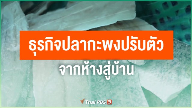 ​ไทยสู้ ไทยรอด : ธุรกิจปลากะพงปรับตัวจากห้างสู่บ้าน