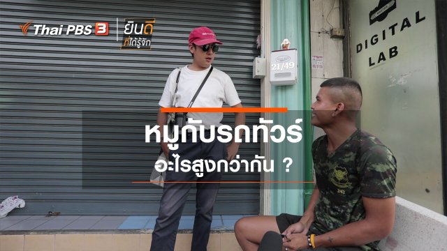 หมูกับรถทัวร์ อะไรสูงกว่ากัน ?