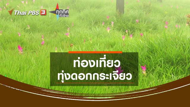 ​ท่องเที่ยวทุ่งดอกกระเจียว