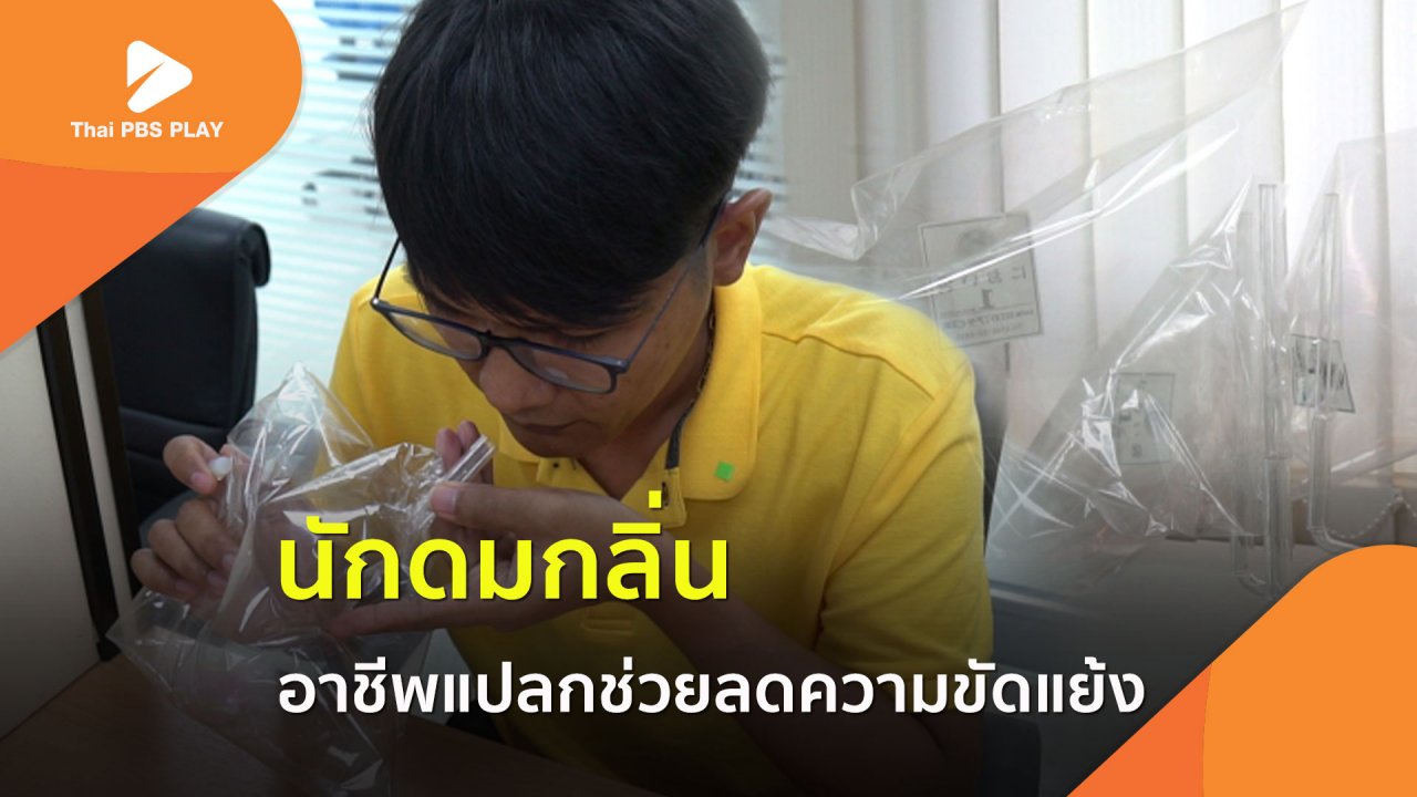 Thai PBS Play - นักดมกลิ่น อาชีพแปลกที่ช่วยลดความขัดแย้งในสังคม?