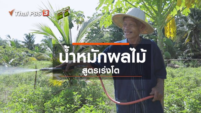 สูตรลับฉบับออนไลน์ : น้ำหมักผลไม้