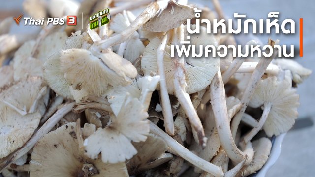 สูตรลับฉบับบ้านนา : น้ำหมักเห็ด