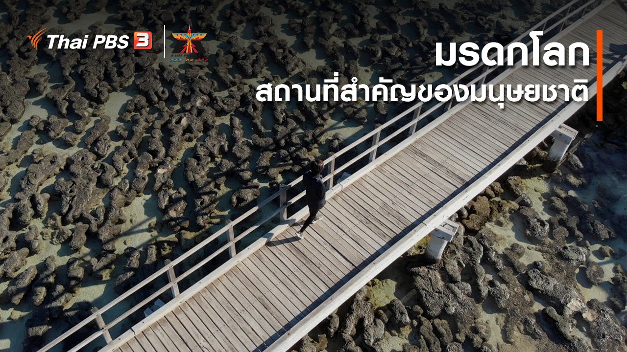 A Life on the Road ถนน คน ชีวิต - เรื่องเล่าการเดินทาง : มรดกโลก สถานที่สำคัญของมนุษยชาติ