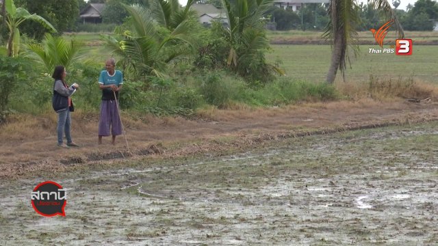 สถานีร้องเรียน : วิเคราะห์สภาพอากาศหนาวปลายปี 2563 - ต้นปี 2564