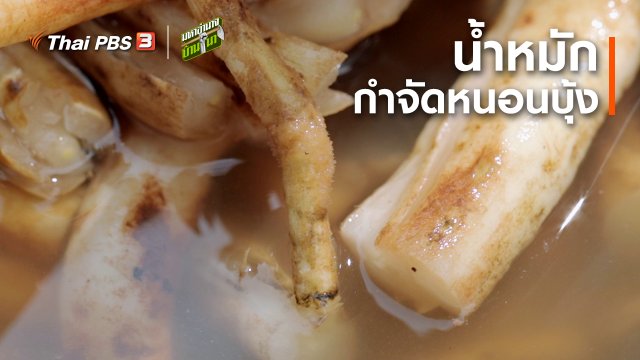 สูตรลับฉบับบ้านนา : น้ำหมักกำจัดหนอนบุ้ง