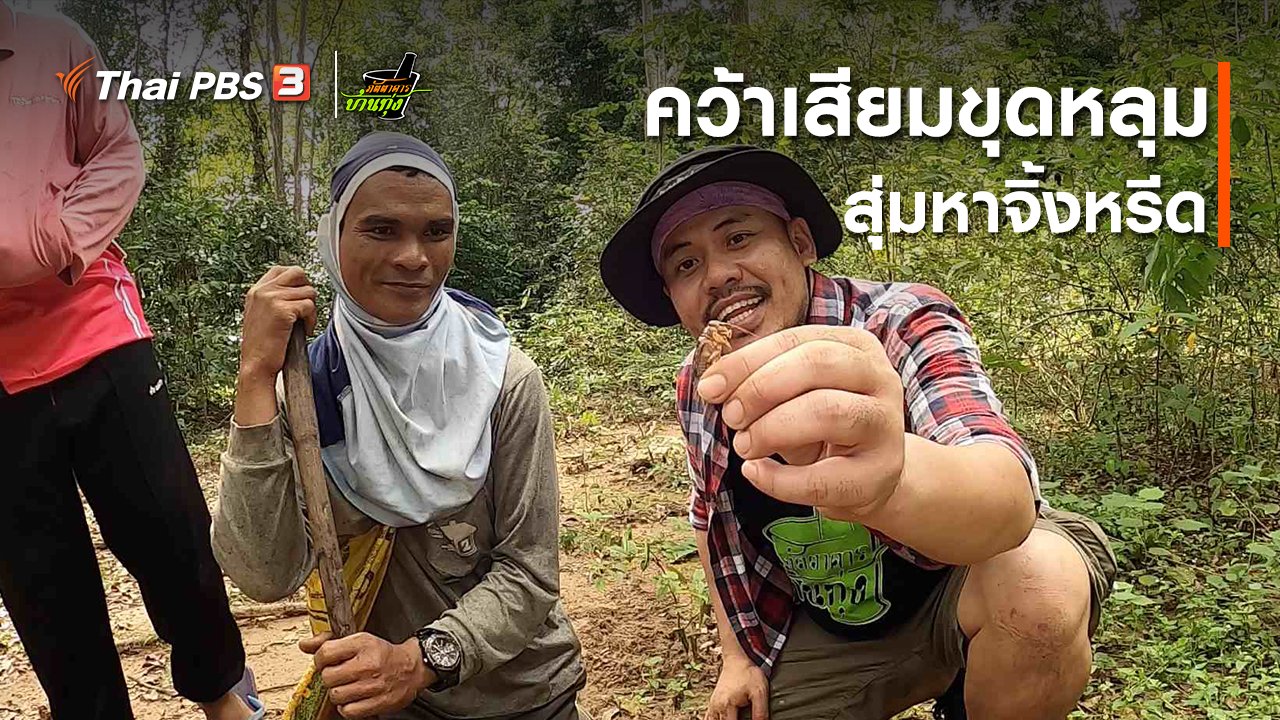 ภัตตาคารบ้านทุ่ง - คลิปบ้านทุ่ง : คว้าเสียมขุดหลุม สุ่มหาจิ้งหรีด