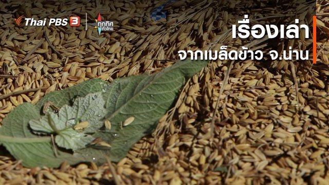 ​เรื่องเล่าจากเมล็ดข้าว จ.น่าน