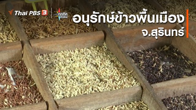 ​อนุรักษ์ข้าวพื้นเมืองสุรินทร์