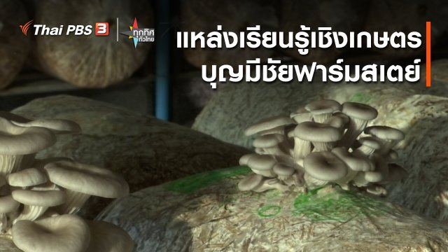 แหล่งเรียนรู้เชิงเกษตร บุญมีชัยฟาร์มสเตย์ จ.สุรินทร์