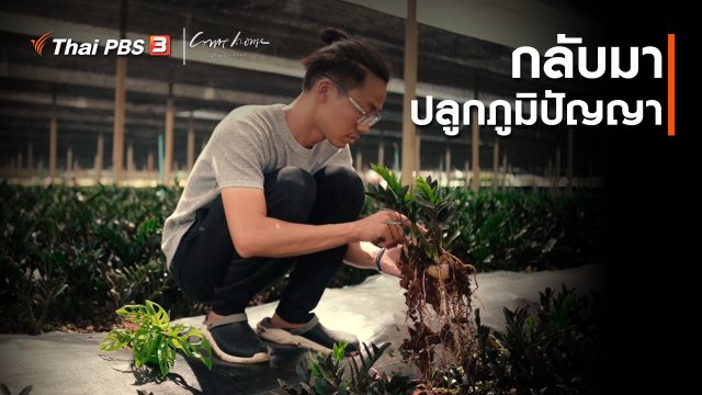 เรื่องเล่าคนกลับบ้าน : กลับมาปลูกภูมิปัญญา
