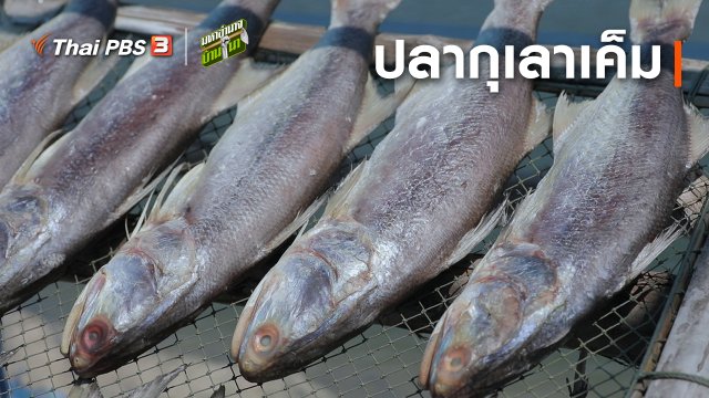 สูตรลับฉบับบ้านนา : ปลากุเลาเค็ม