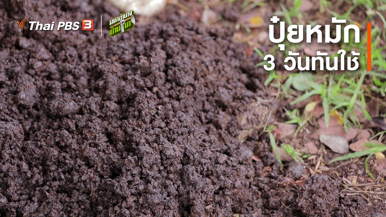 มหาอำนาจบ้านนา - สูตรลับฉบับบ้านนา : ปุ๋ยหมัก 3 วันทันใช้