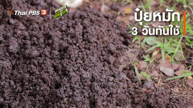 สูตรลับฉบับบ้านนา : ปุ๋ยหมัก 3 วันทันใช้