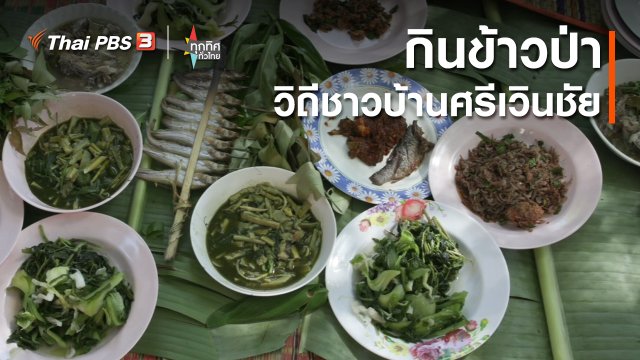 กินข้าวป่า วิถีชาวบ้านศรีเวินชัย