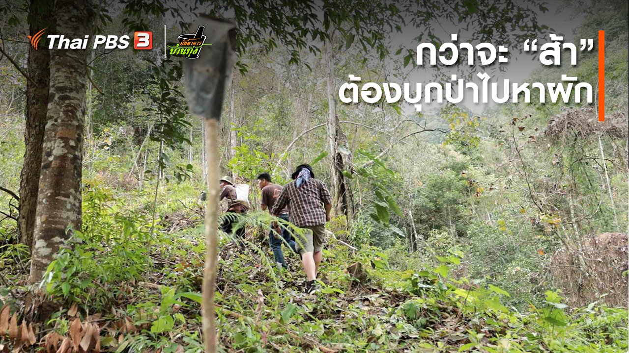 ภัตตาคารบ้านทุ่ง - คลิปบ้านทุ่ง : กว่าจะ “ส้า” ต้องบุกป่าไปหาผัก