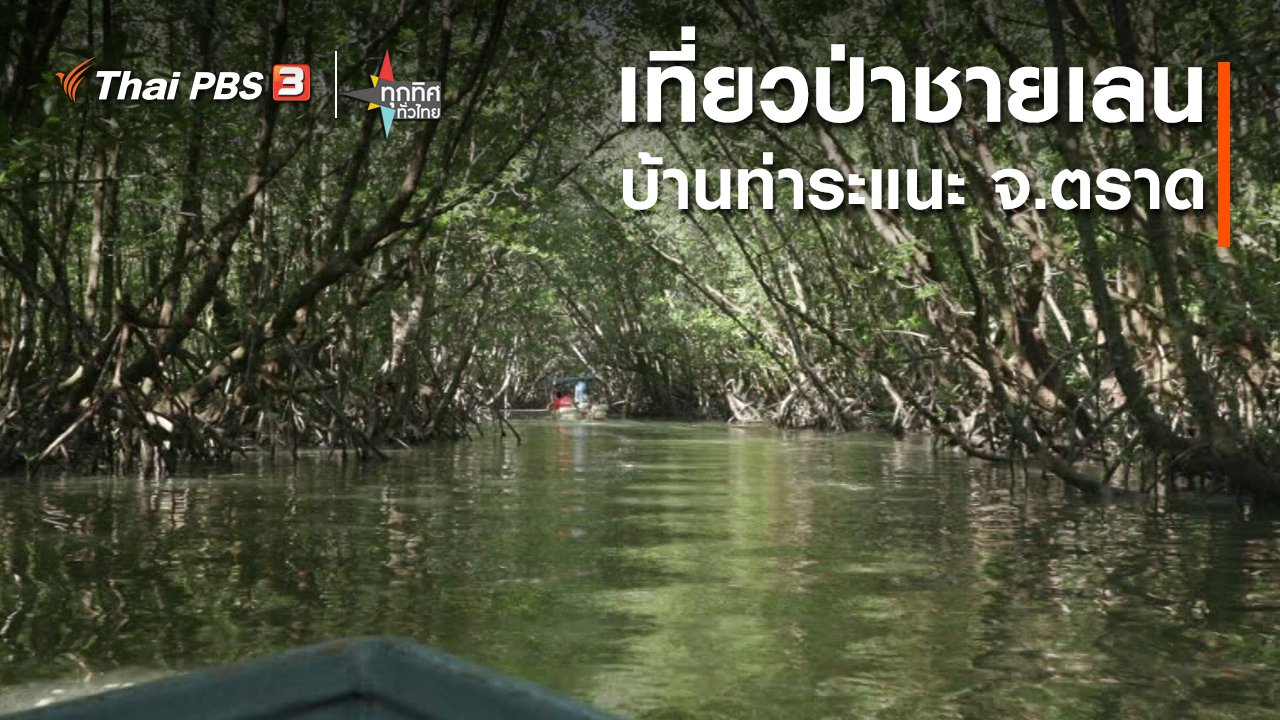 ทุกทิศทั่วไทย - เที่ยวป่าชายเลนบ้านท่าระแนะ จ.ตราด