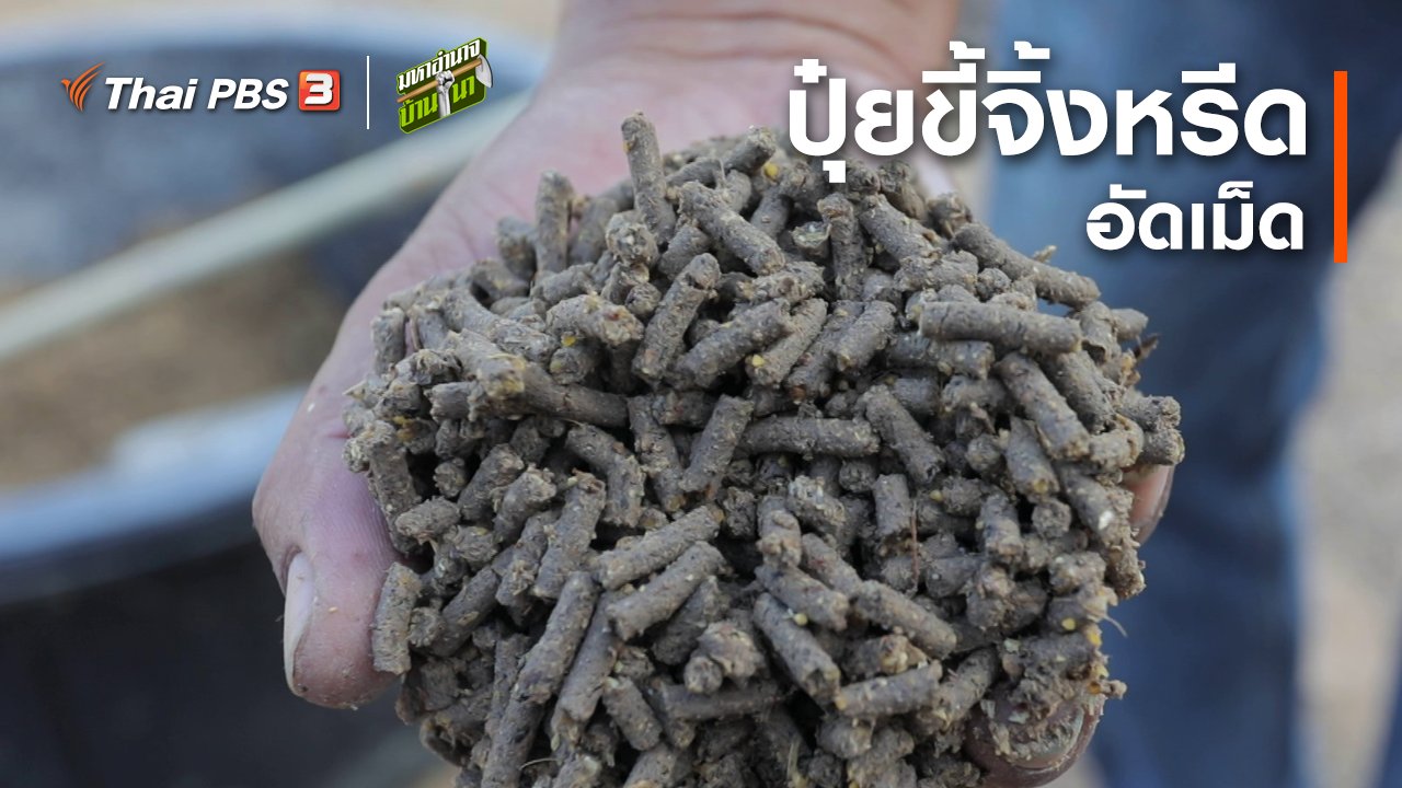 มหาอำนาจบ้านนา - สูตรลับฉบับบ้านนา : ปุ๋ยขี้จิ้งหรีดอัดเม็ด