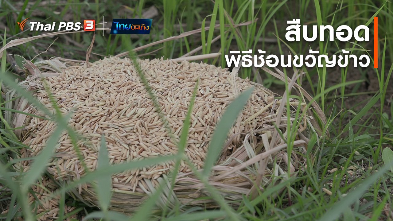 ไทยบันเทิง - เรื่องนี้มีตำนาน : สืบทอดพิธีช้อนขวัญข้าว
