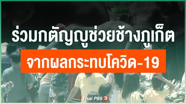 ร่วมกตัญญูช่วยช้างภูเก็ตจากผลกระทบโควิด-19