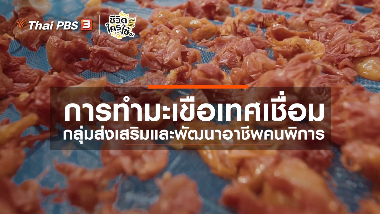 ชีวิตใครใช้ซะ Live Your Life - เรียนรู้โลกของคนพิการ : การทำมะเขือเทศเชื่อม กลุ่มส่งเสริมและพัฒนาอาชีพคนพิการ