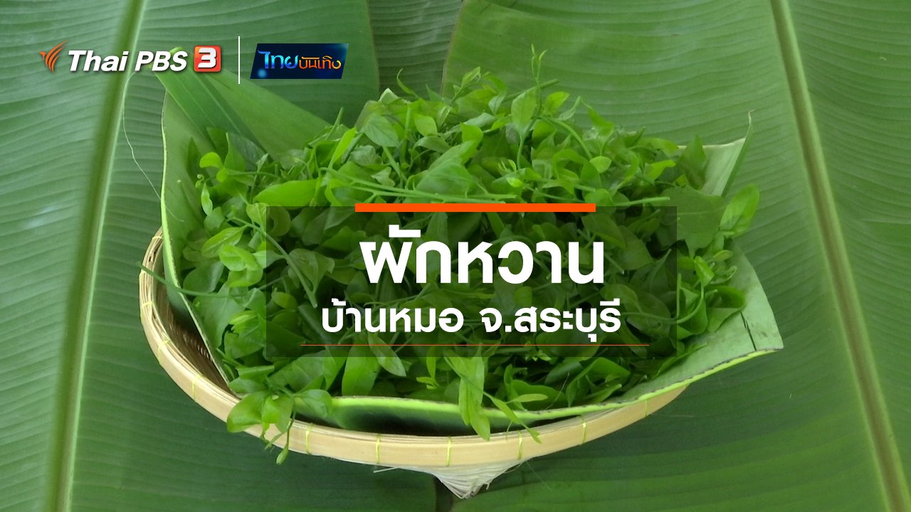 ไทยบันเทิง - อิ่มมนต์รส : ผักหวานบ้านหมอ จ.สระบุรี