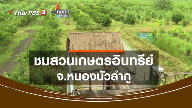ชมสวนเกษตรอินทรีย์ จ.หนองบัวลำภู