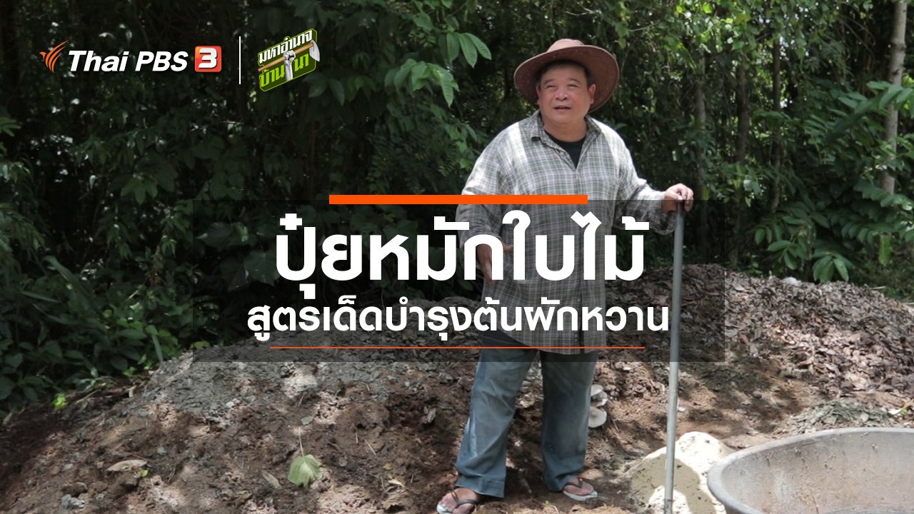 มหาอำนาจบ้านนา - สูตรลับฉบับบ้านนา : ปุ๋ยหมักใบไม้