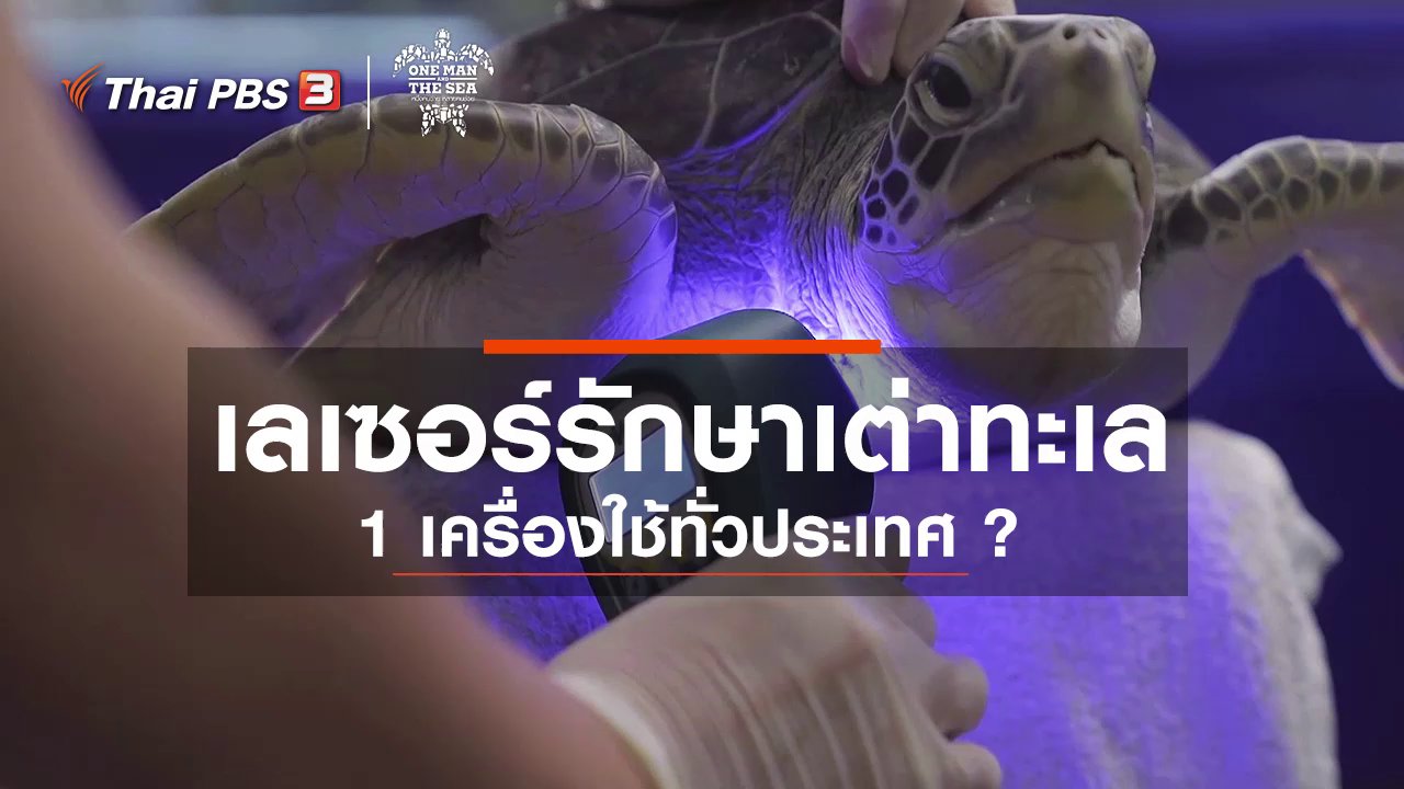 One Man And The Sea หนึ่งคนว่าย หลายคนช่วย - เลเซอร์รักษาเต่าทะเล 1 เครื่องใช้ทั่วประเทศ ?