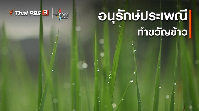 อนุรักษ์ประเพณีทำขวัญข้าว
