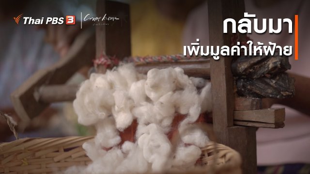 เรื่องเล่าคนกลับบ้าน : กลับมาเพิ่มมูลค่าให้ฝ้าย