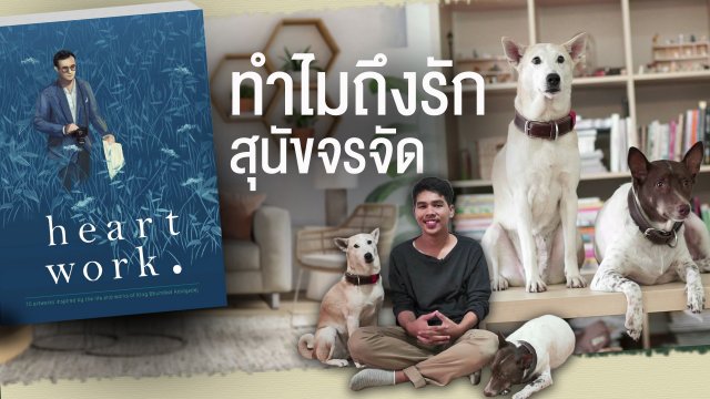 ทำไมถึงรักสุนัขจรจัด