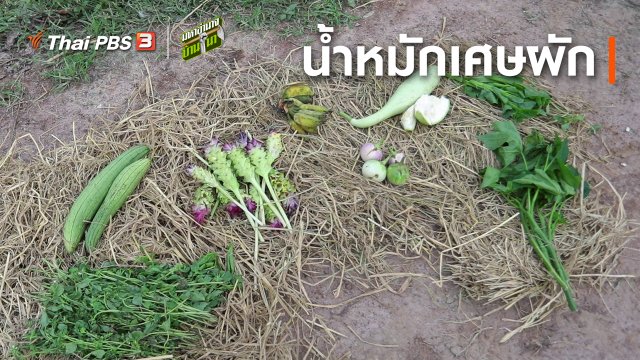 สูตรลับฉบับบ้านนา : น้ำหมักเศษผัก